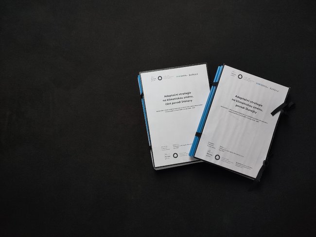 SRRB představila adaptační strategie veřejnosti